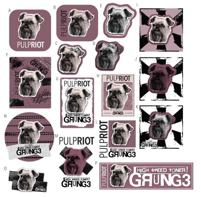 Grunge-DirytPink-PromoBox-2024-StickerDesigns-FlashSheet